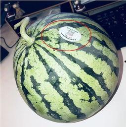 qq吃网红瓜,QQ吃瓜群众如何捕捉热门事件